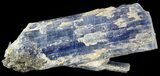 Vibrant Blue Kyanite Crystal - Brazil #56940-1